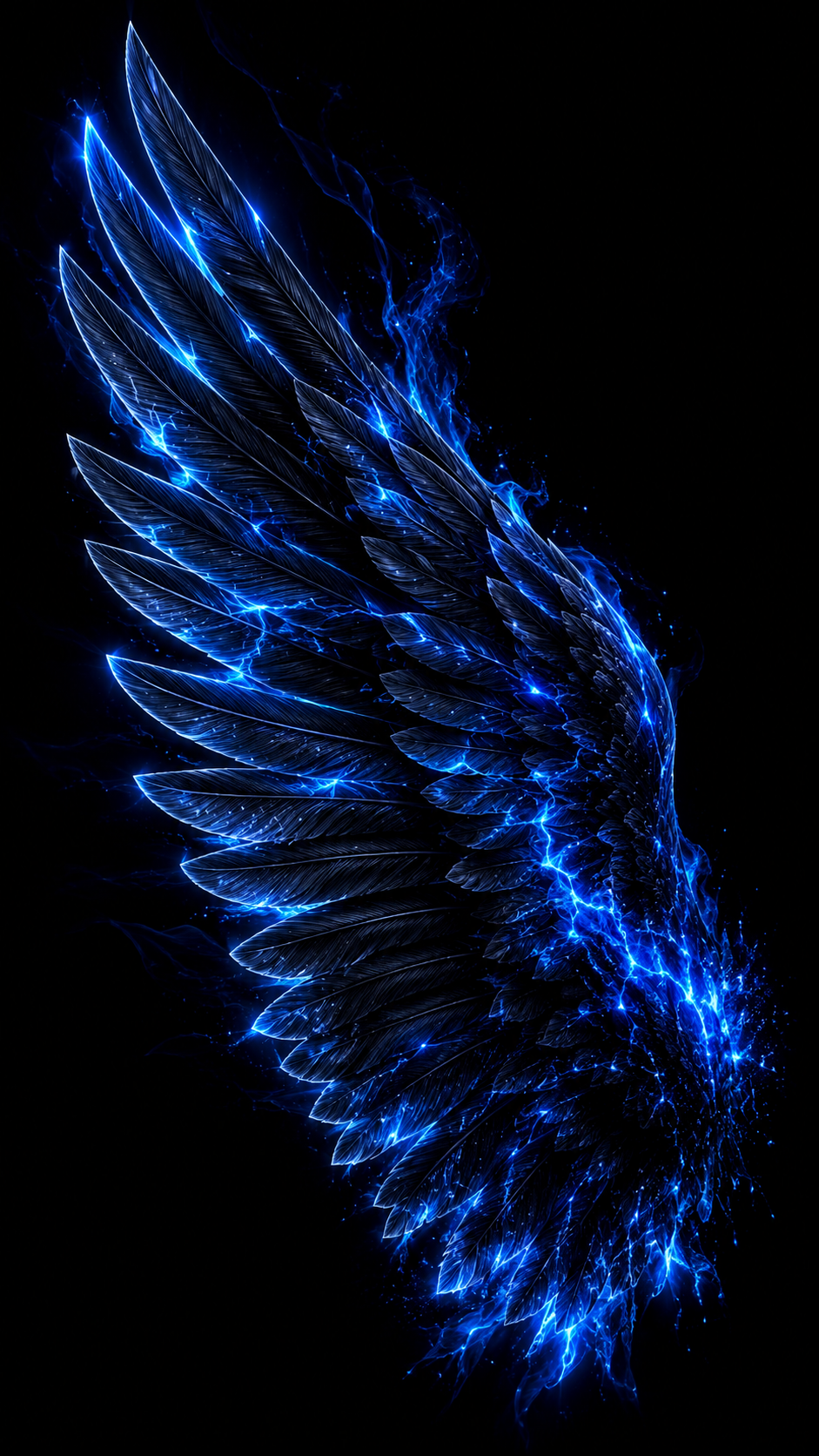 Blue Wing on Black