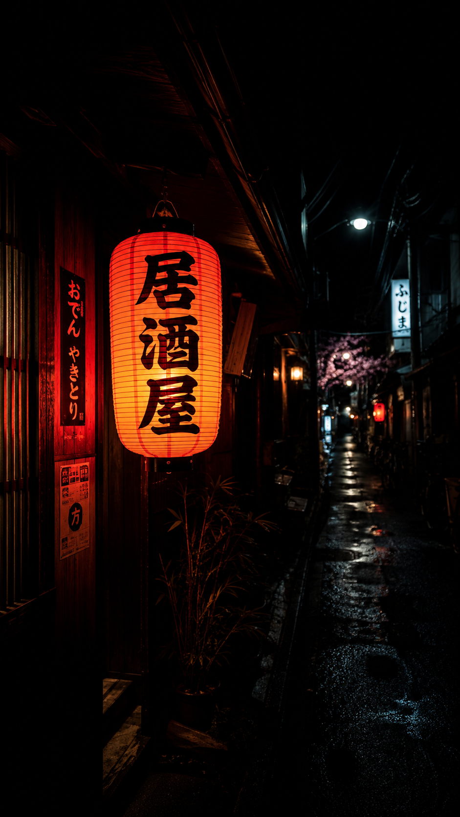 Red Lantern Alley at Night