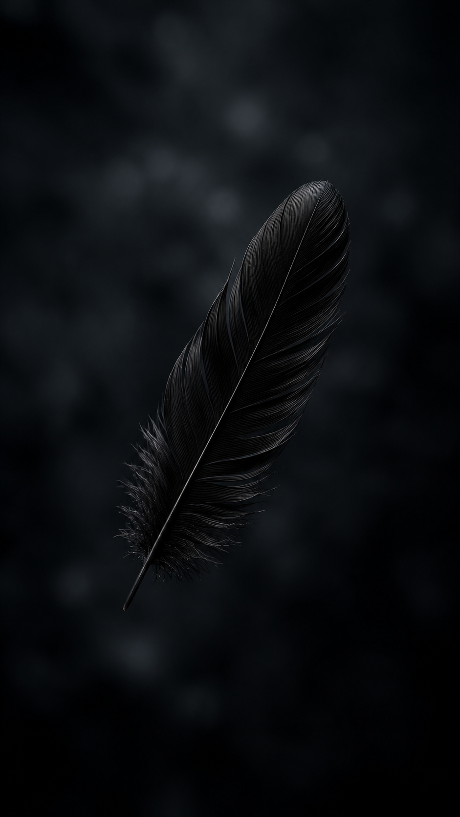 Black Feather on a Dark Background